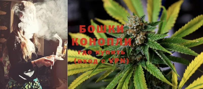 где купить наркоту  Бакал  mega маркетплейс  МАРИХУАНА White Widow 